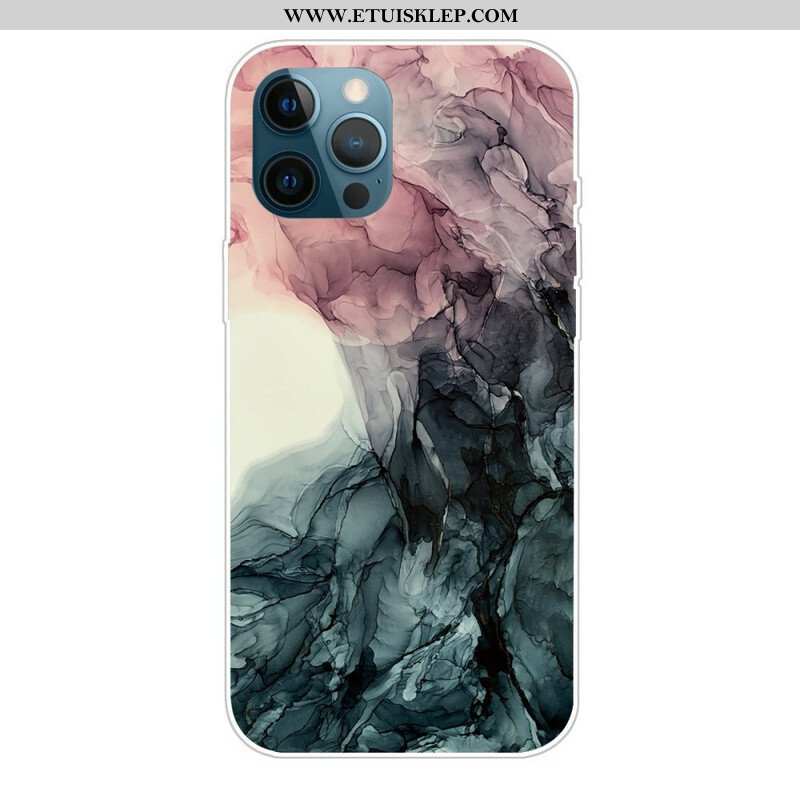 Etui do iPhone 13 Pro Kolory Marmuru